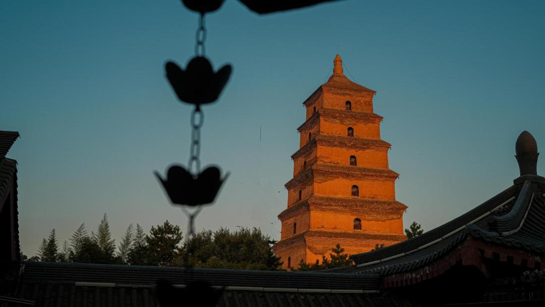 Photo of Others in Qujiang New District