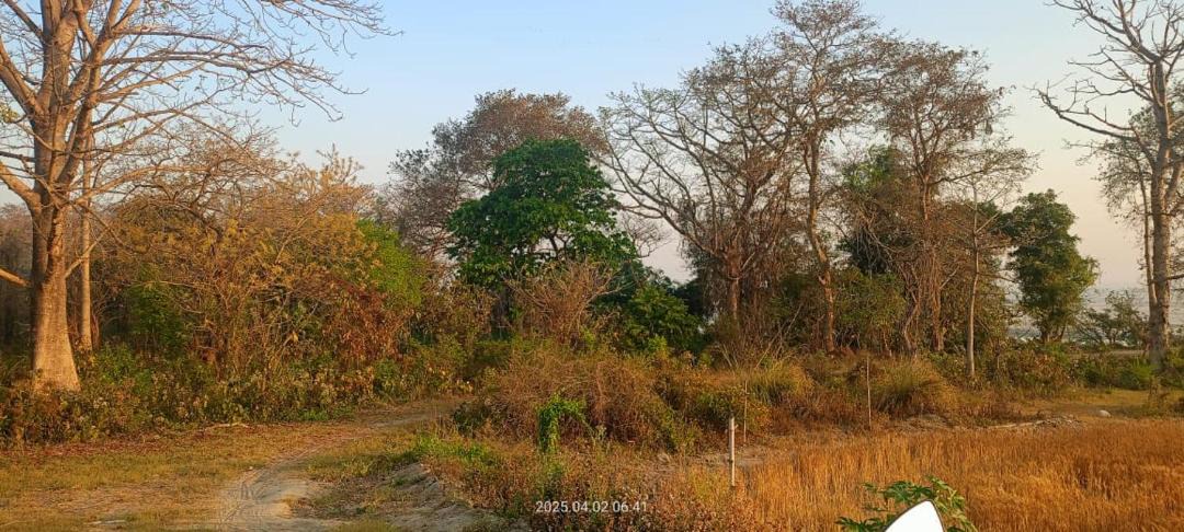 Photo of Others in Puranpur