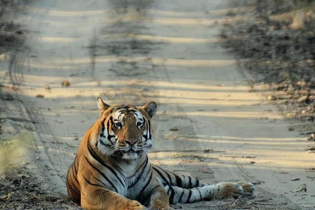 Photo of Others in Puranpur