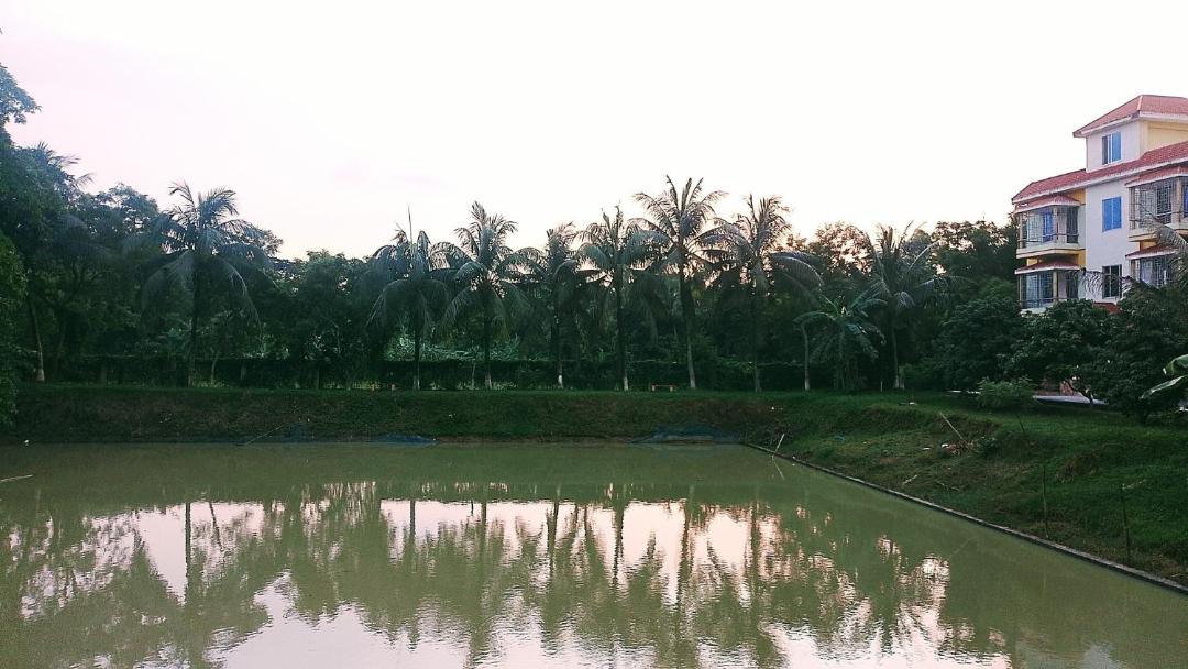 Photo of Others in Gazipur District