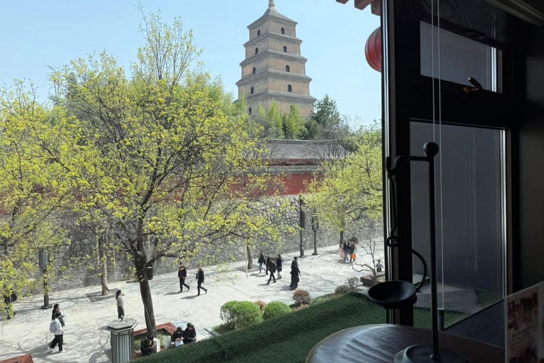 Photo of Others in Qujiang New District