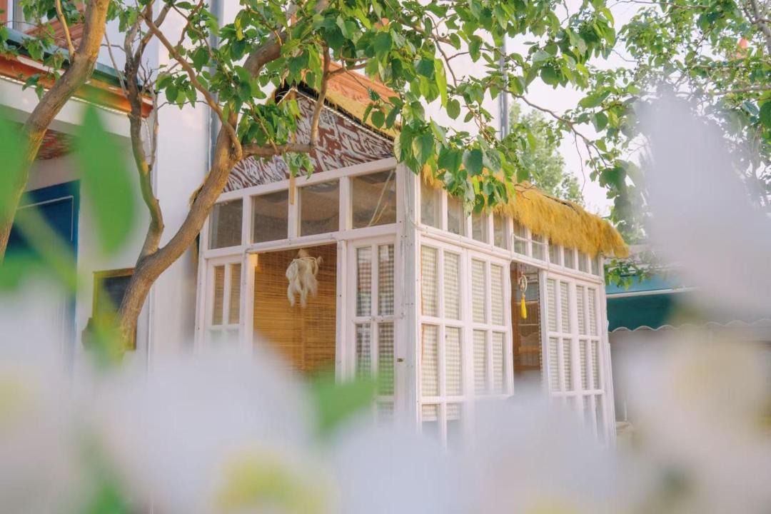 Photo of Others in Yining