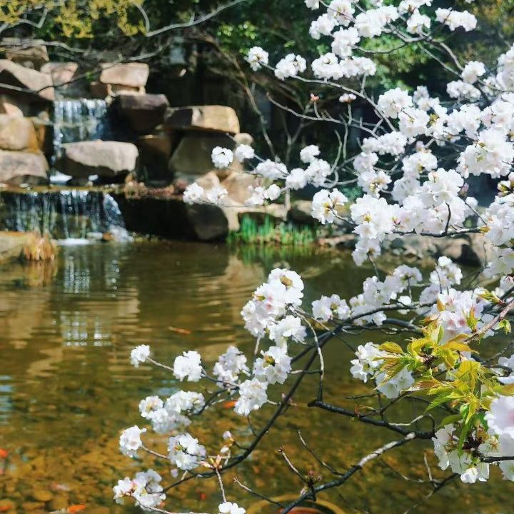 Photo of Others in Zhoujingxiang