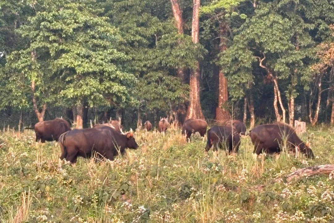 Photo of Others in Alipurduar