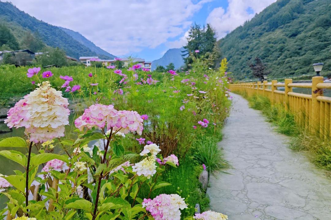 Photo of Others in Wenchuan