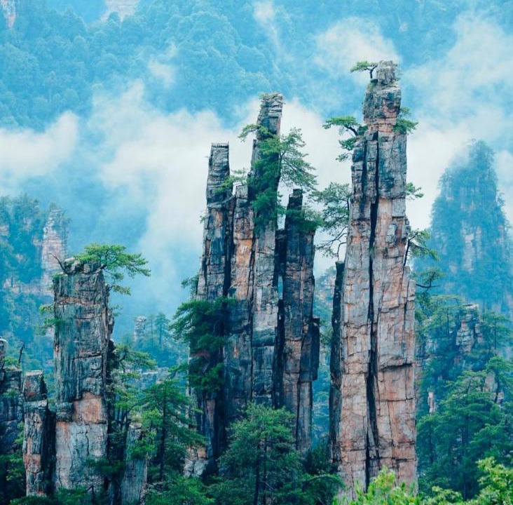 Photo of Others in Yongding