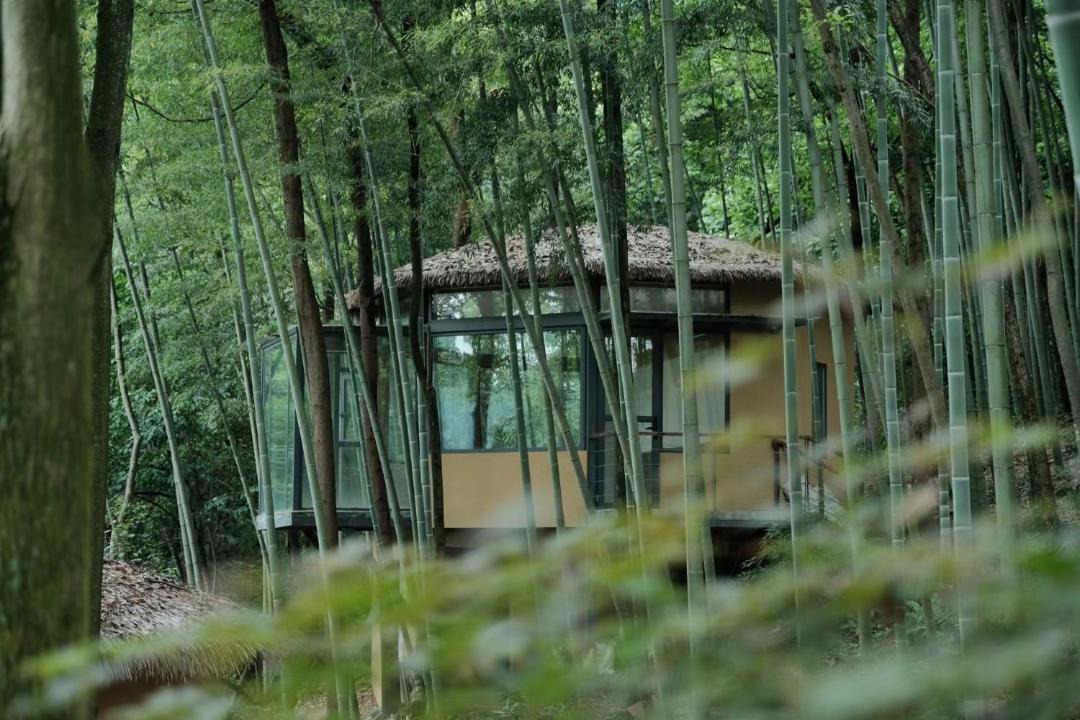 Photo of Others in Dujiangyan