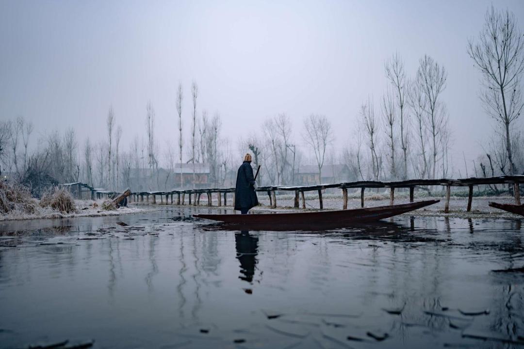 Photo of Others in Srinagar