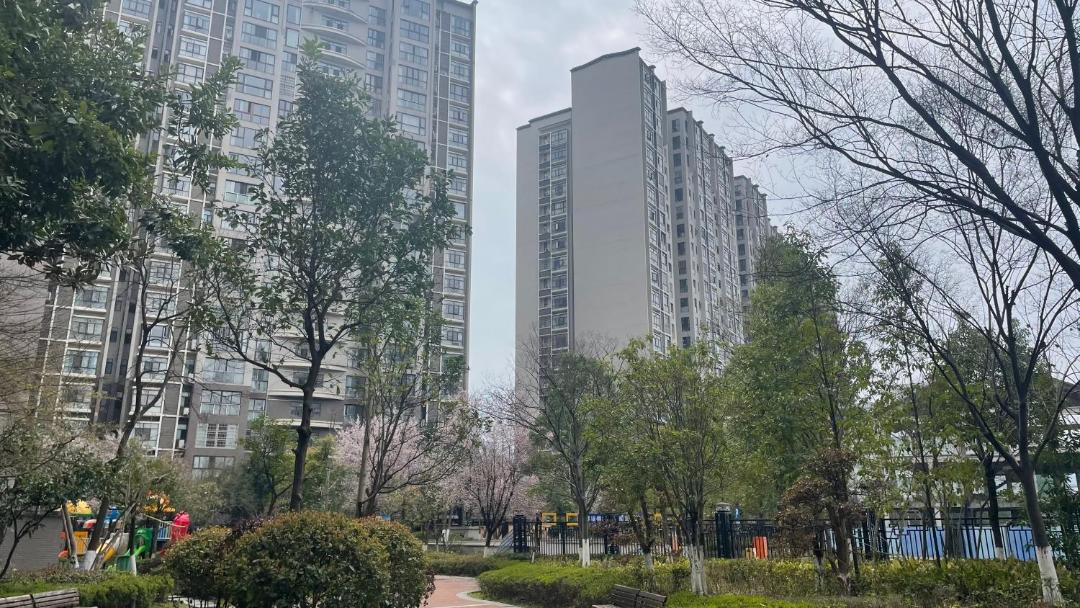 Photo of Others in Yongding