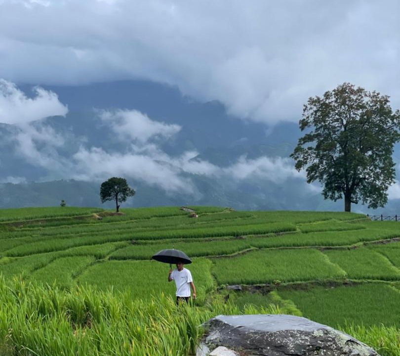 Photo of Others in Longsheng