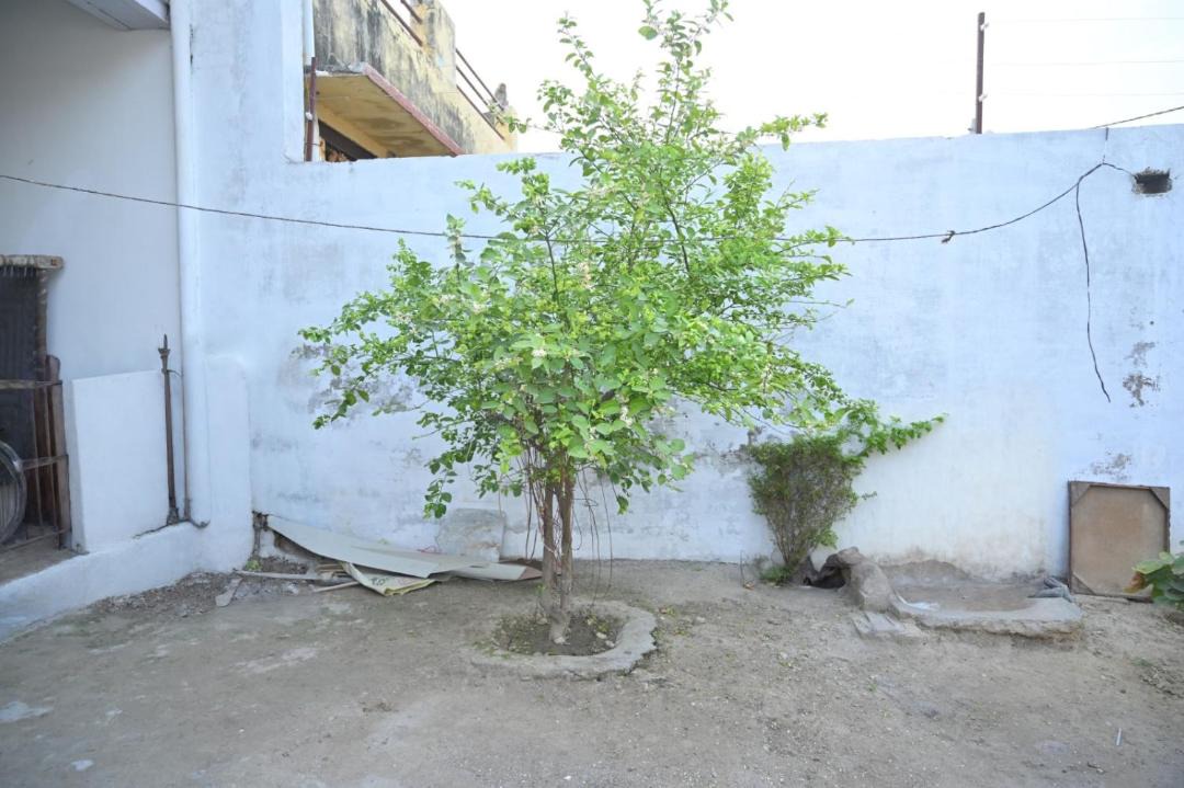 Photo of Others in Sadabad