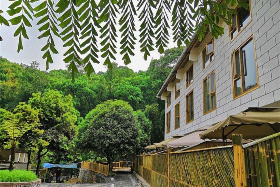 Photo of Others in Emeishan