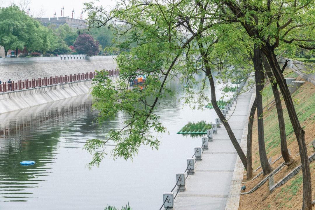 Photo of Others in Lianhu