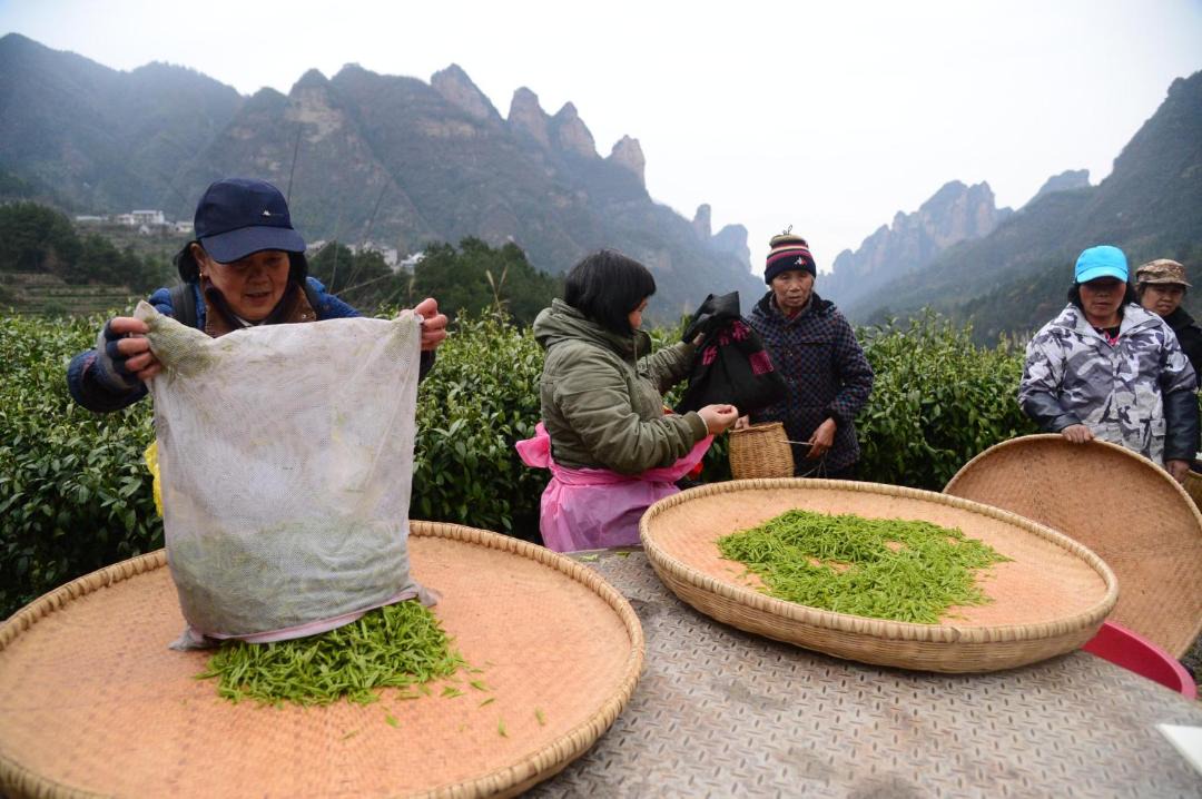 Photo of Others in Yongding