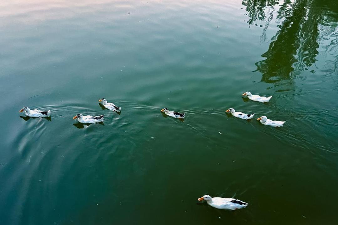 Photo of Others in Gaochang District