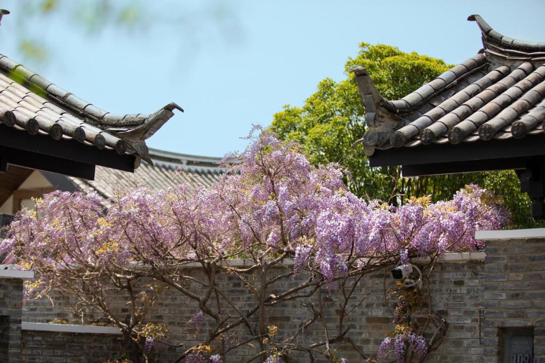 Photo of Others in Shuhe Old Town