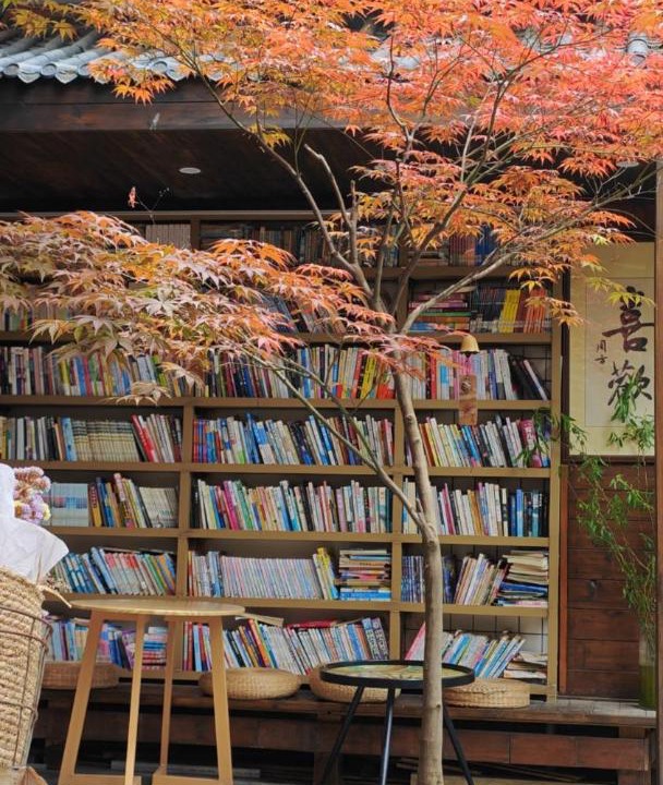 Photo of Others in Shizhong District