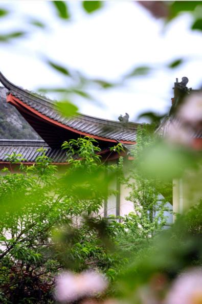 Photo of Others in Xiufeng
