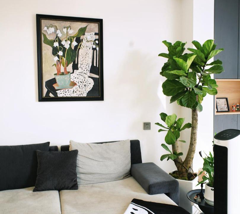 Photo of Livingroom in Jianshui County