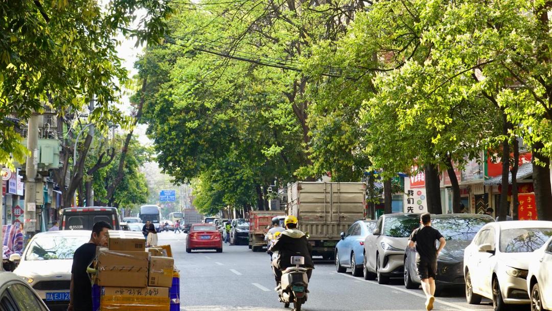 Photo of Others in Chengdu City Centre