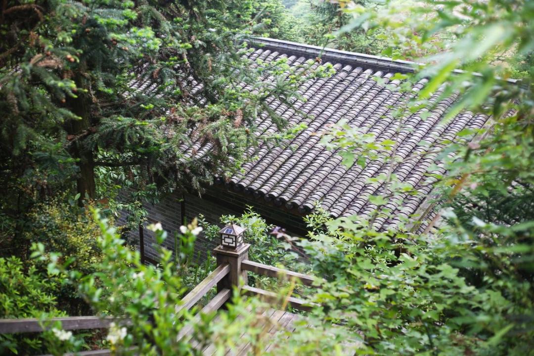 Photo of Others in Ningde