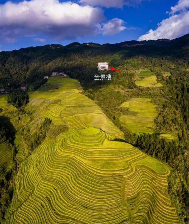 Photo of Others in Longsheng