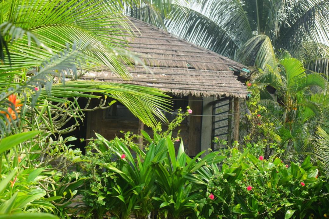 Photo of Others in Cox's Bazar