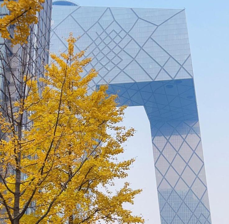 Photo of Others in Beijing Central Business District