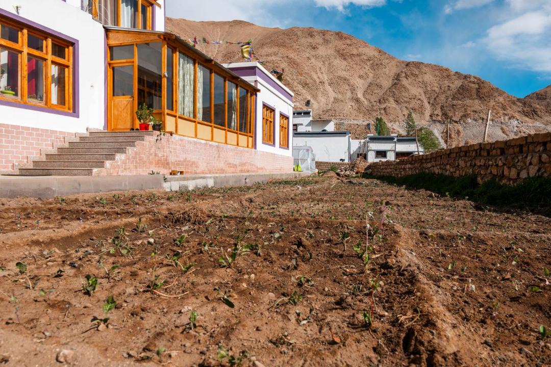 Photo of Others in Ladakh