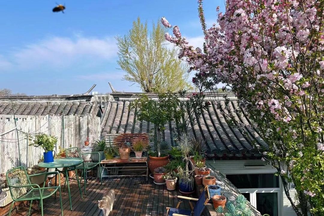 Photo of Others in Xicheng