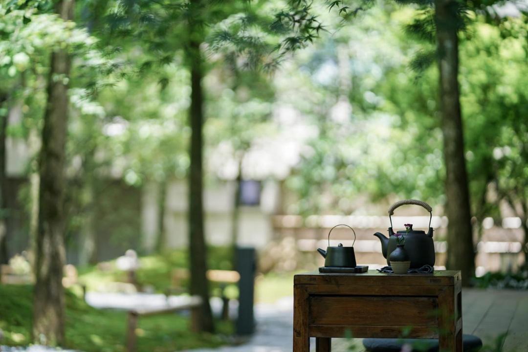 Photo of Others in Dujiangyan