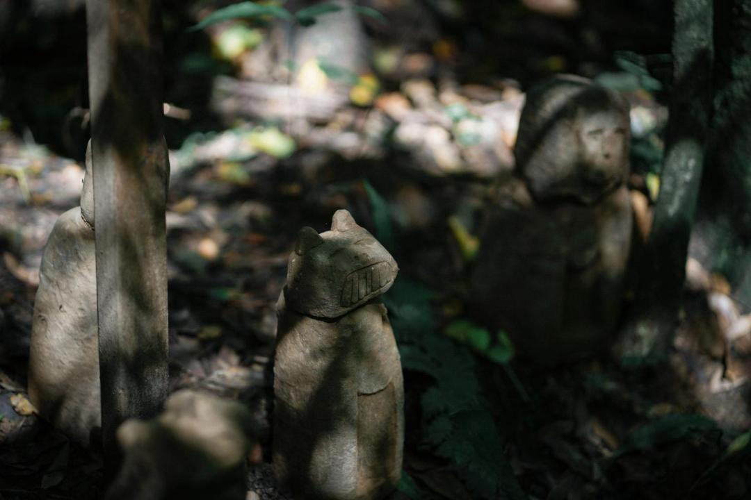 Photo of Others in Dujiangyan