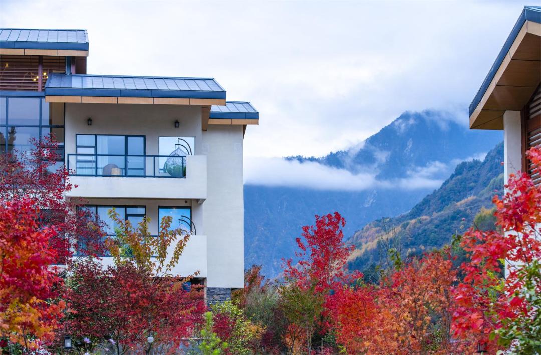 Photo of Others in Wenchuan