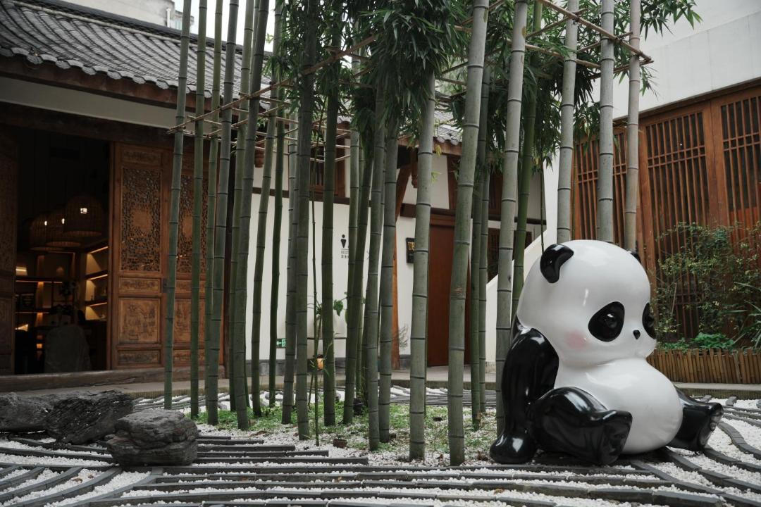 Photo of Others in Chengdu City Centre