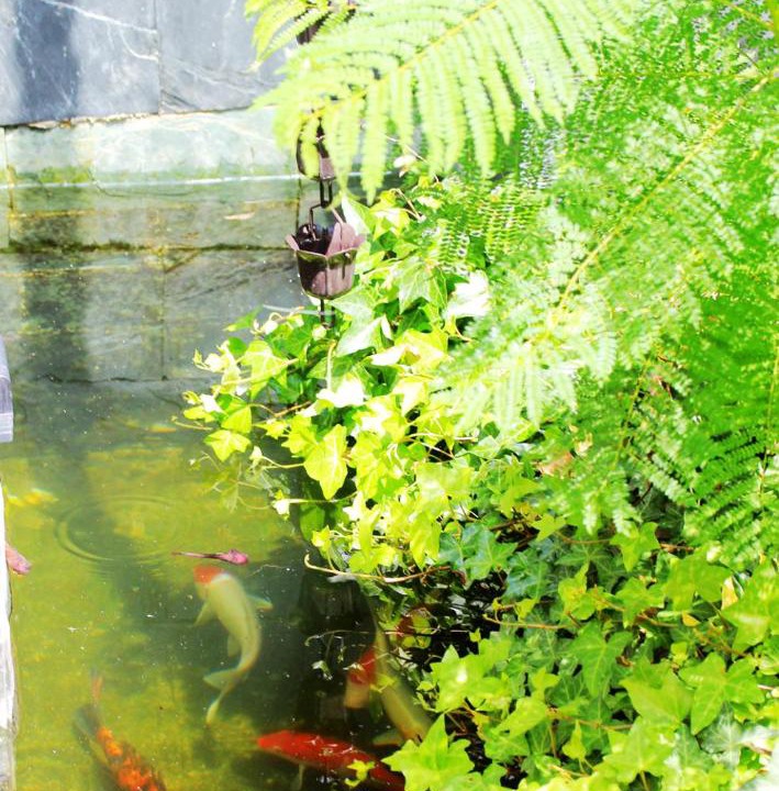 Photo of Others in Chengjiang County