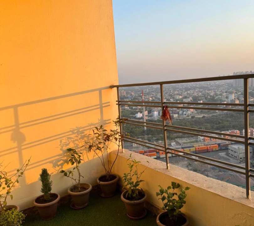 Photo of Patio Balcony in Greater Noida