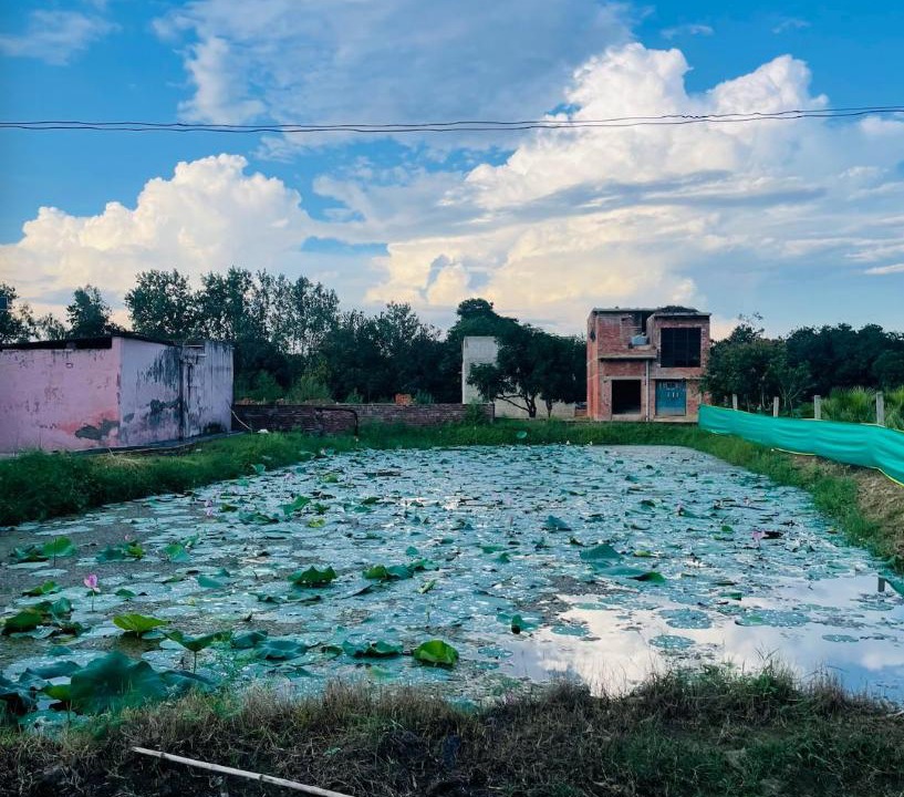 Photo of Others in Hasanpur