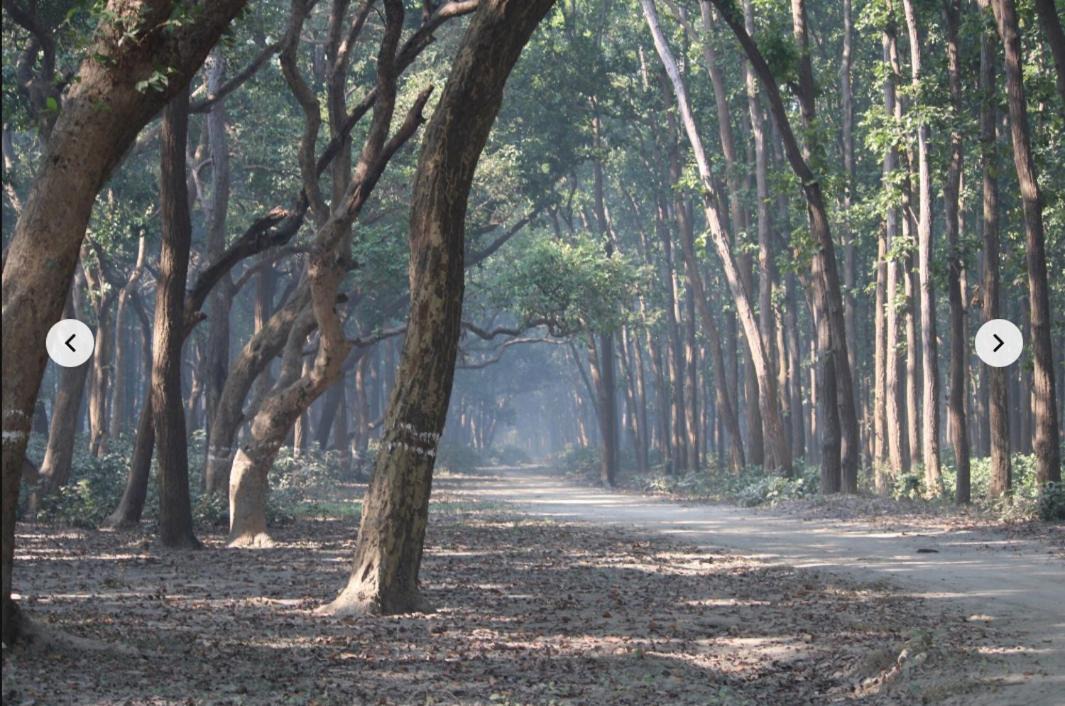 Photo of Others in Puranpur