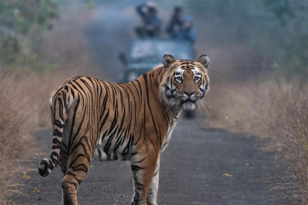 Photo of Others in Puranpur