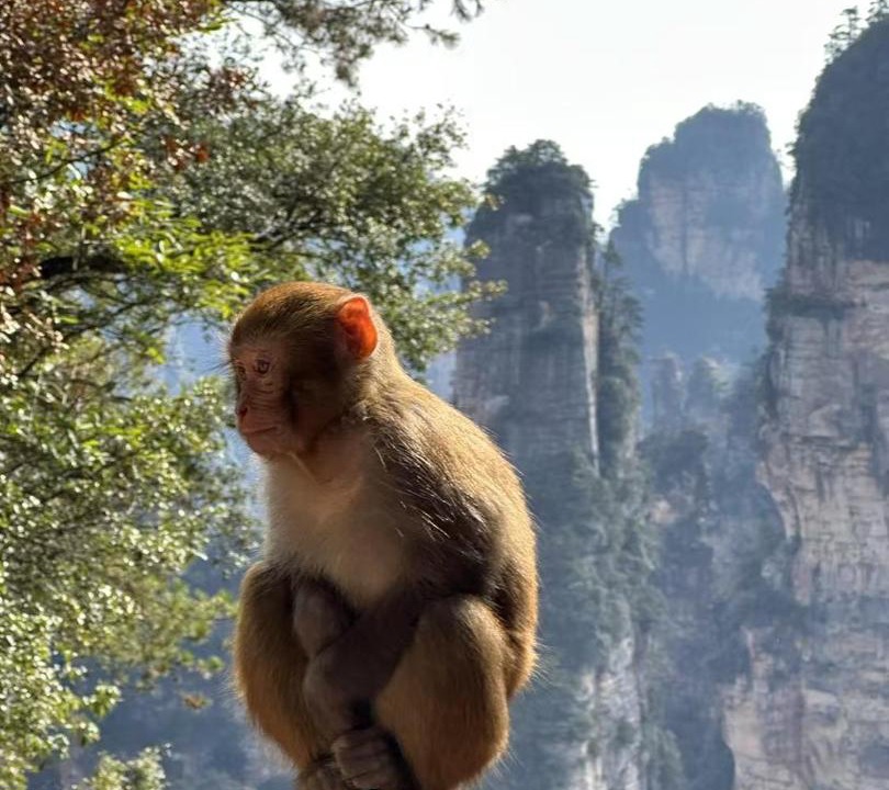 Photo of Others in Yongding