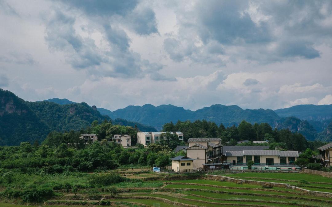 Photo of Others in Wulingyuan