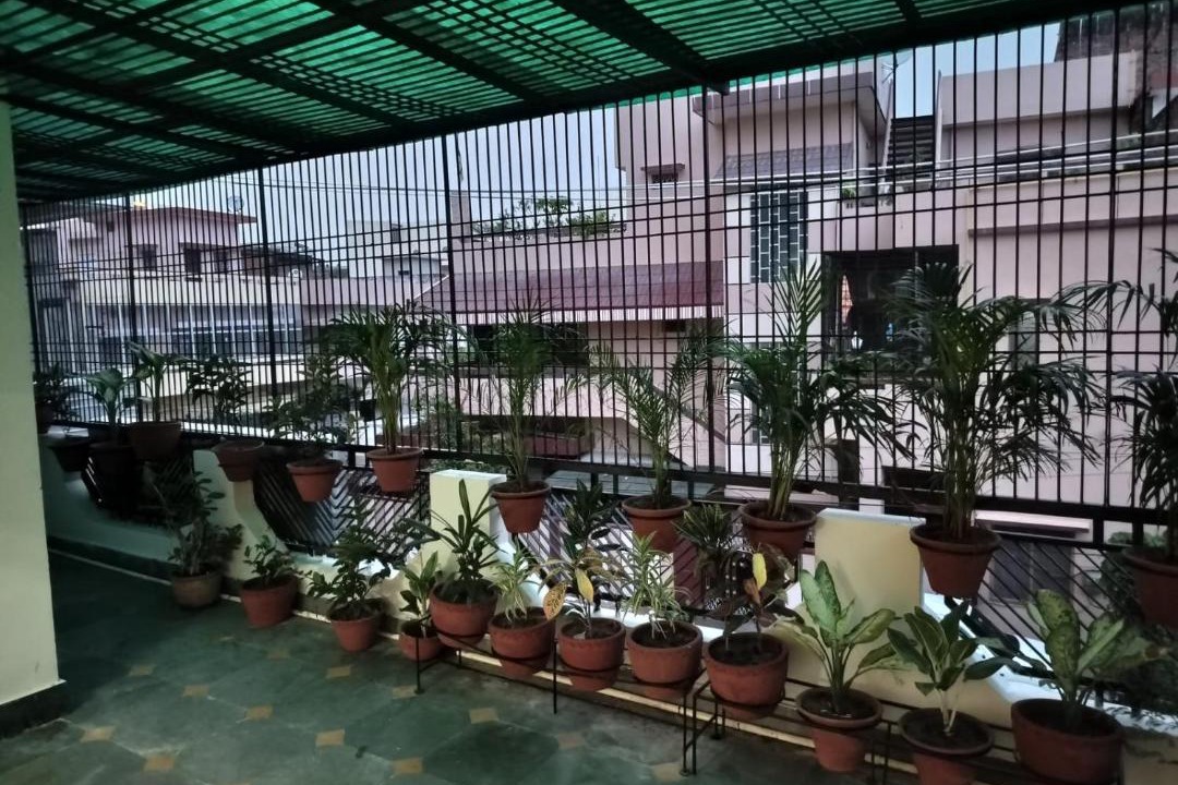 Photo of Patio Balcony in Mahmoorganj
