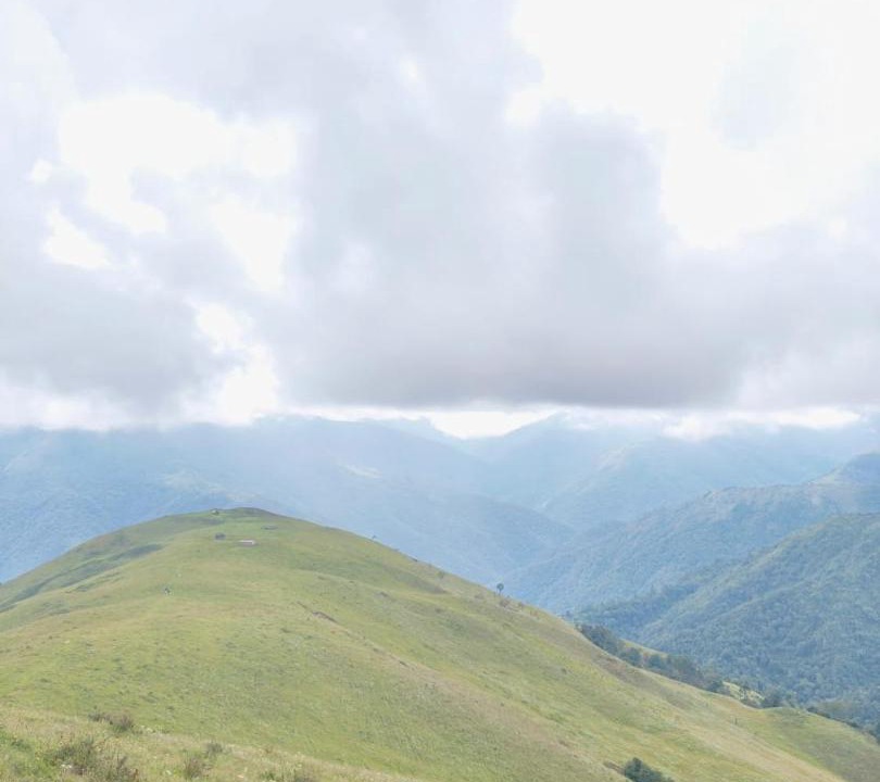 Photo of Others in Bomdila