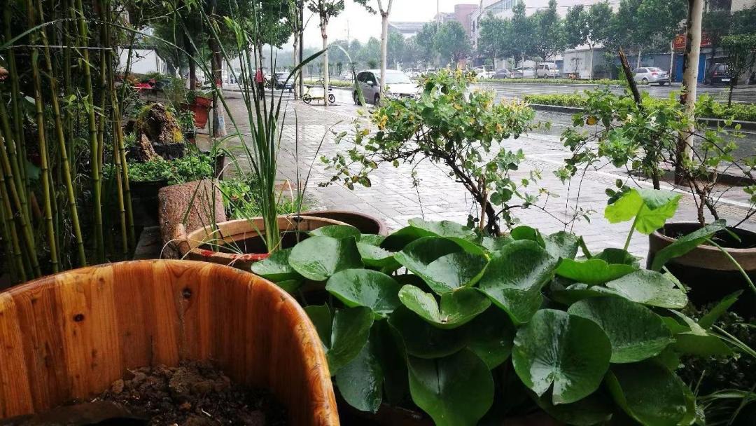 Photo of Others in Dengfeng