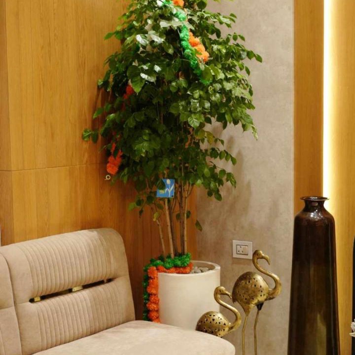 Photo of Livingroom in Mathura