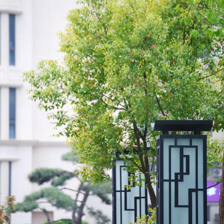 Photo of Others in Huayuan Road Area