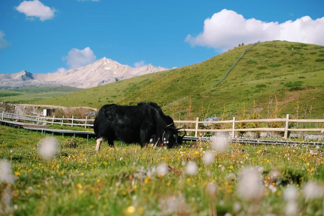 Photo of Others in Kangding