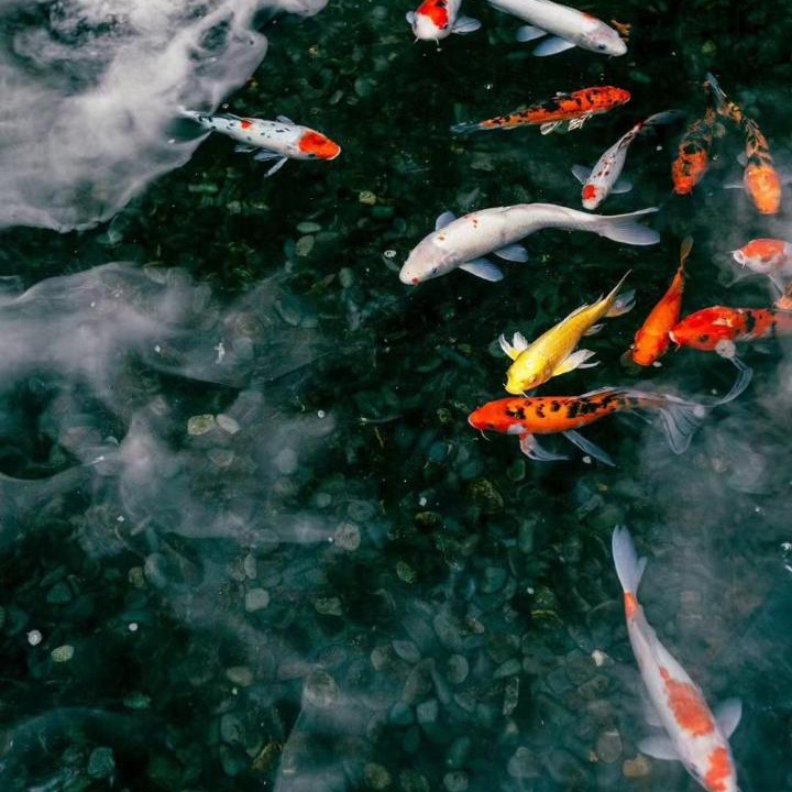 Photo of Others in Gaoxin