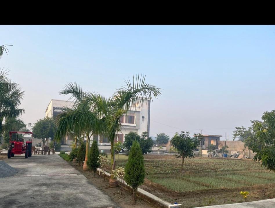Photo of Others in Bulandshahr