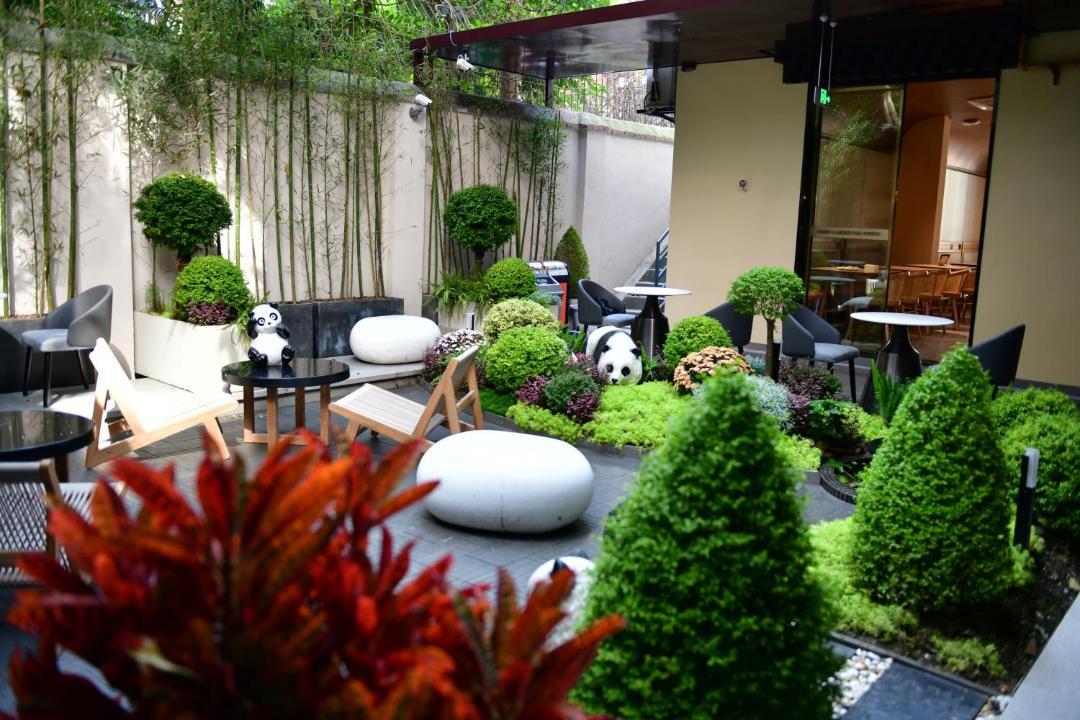 Photo of Others in Chengdu City Centre